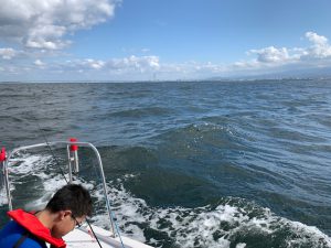 sea
